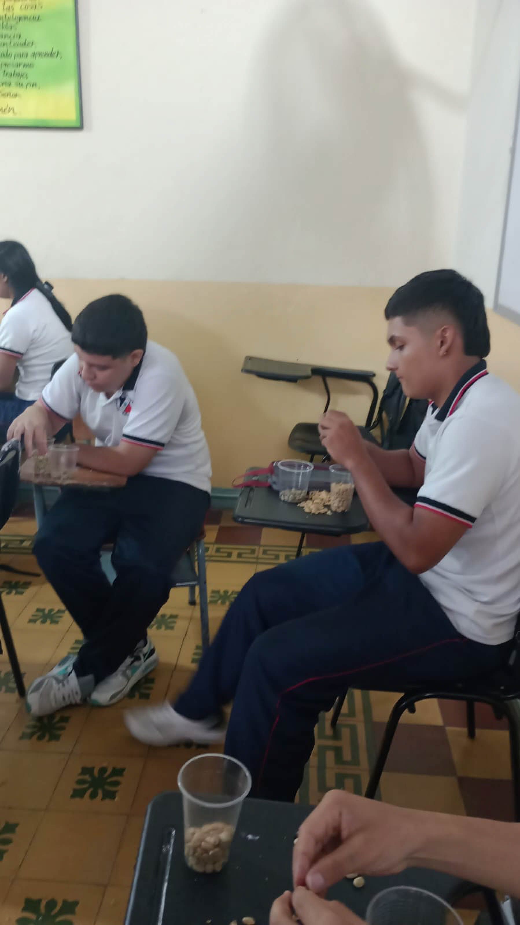 Batalla de Boyacá: actividad con aroma a Café Colombiano - Imagen 8